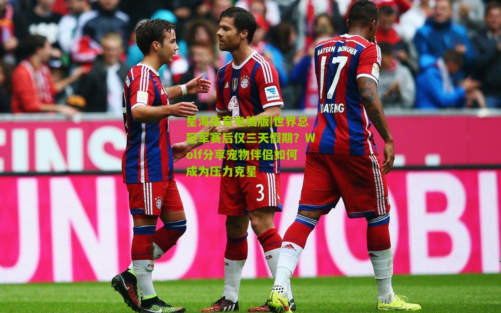 星海体育电脑版|世界总冠军赛后仅三天假期？Wolf分享宠物伴侣如何成为压力克星