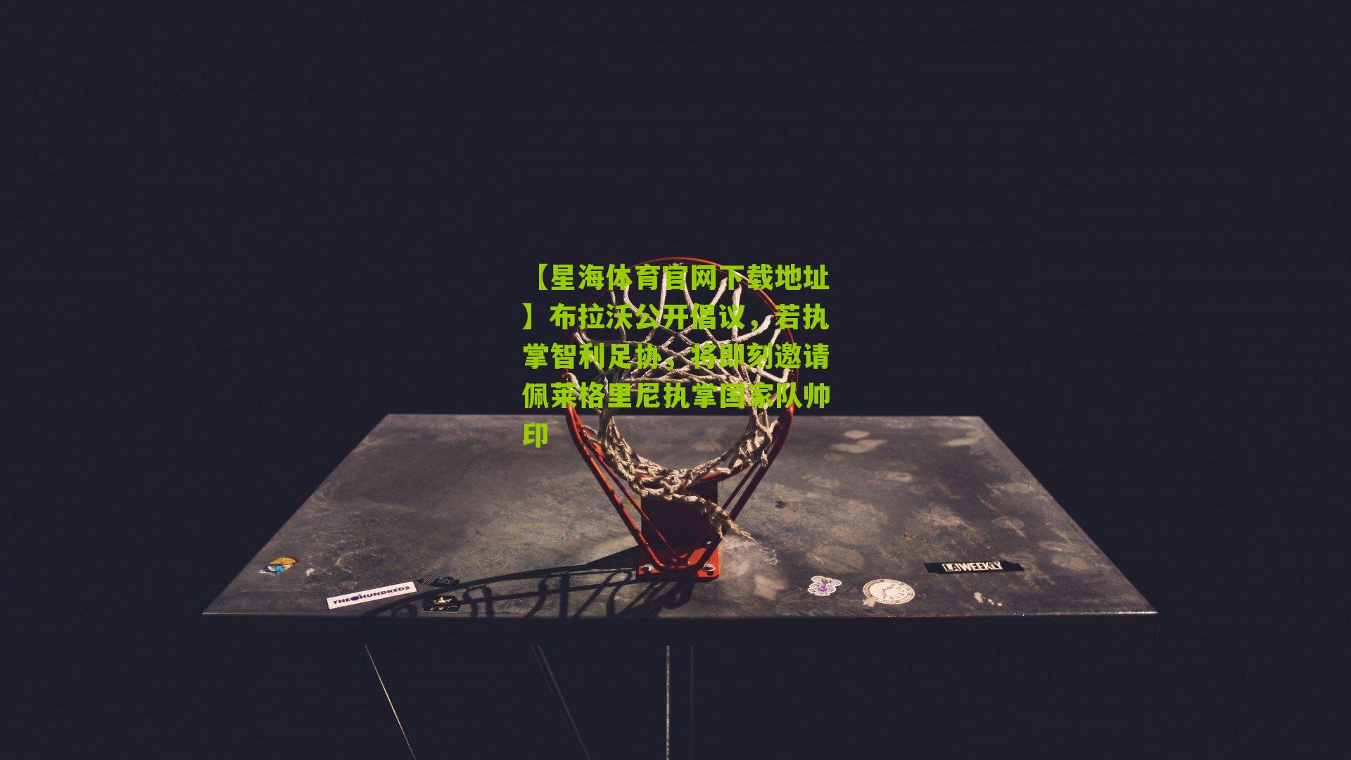 【星海体育官网下载地址】布拉沃公开倡议，若执掌智利足协，将即刻邀请佩莱格里尼执掌国家队帅印